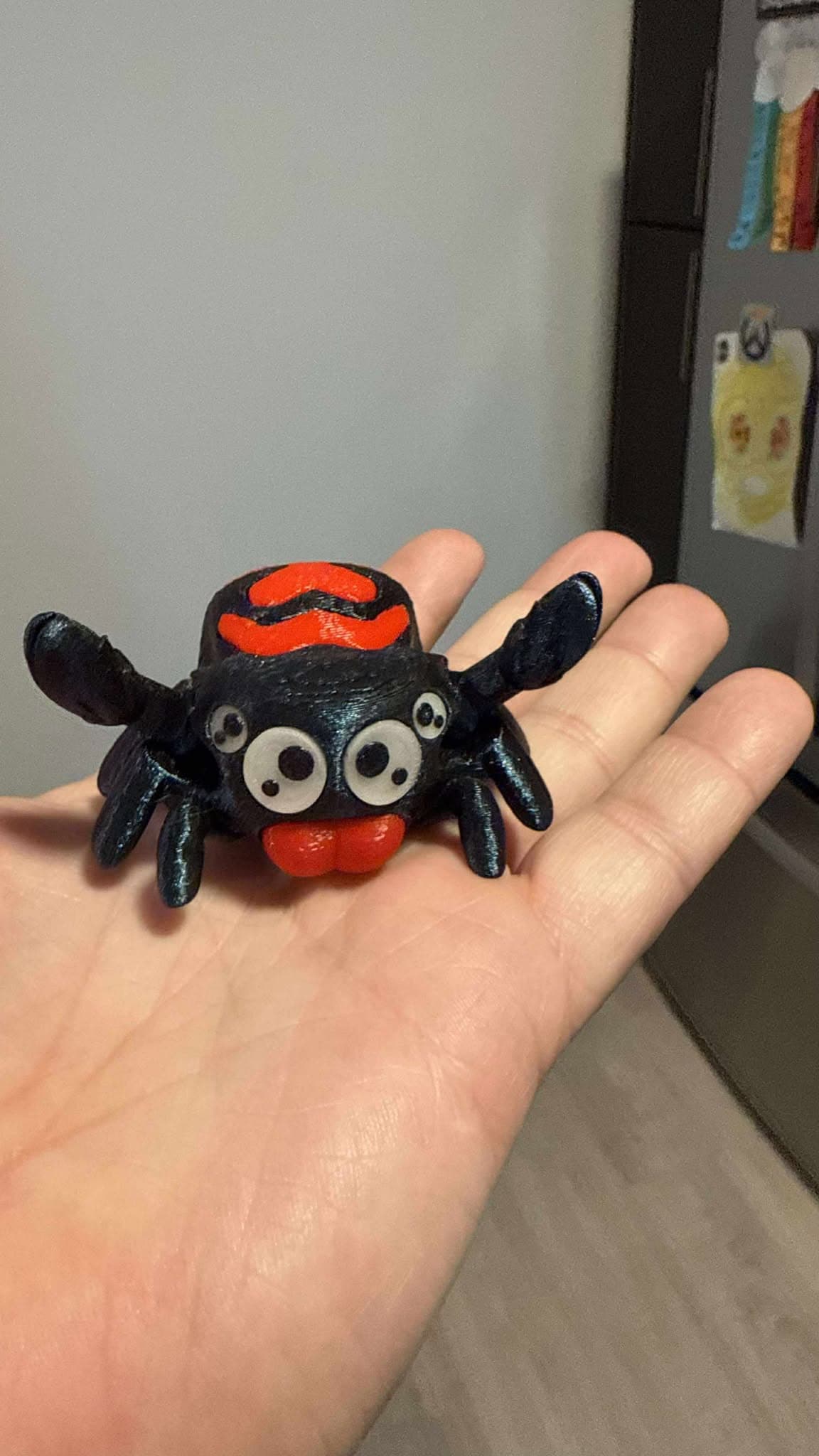 Memo jumping spider